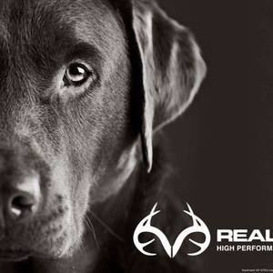 Meet your Posher, Cam